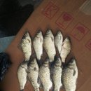 새(고경) 이미지