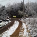 보개농협주유소 이미지