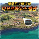 아모르 하우스 이미지