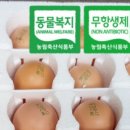 바른농장계란 이미지