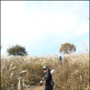 화암약수야영장 이미지