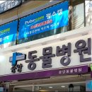 태평역 동물병원 | [성남중앙동물병원] 강아지 침샘낭종,유선종양,중성화 진료 • 내돈내산 찐후기