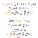 아줌마 56가지 특급지혜 이미지