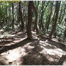 공산초교 이미지