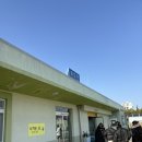 소원분식 | 동해 묵호 1박 2일 여행 (묘한 동해, 옥이네 분식, 논골담길, 도야 하우스, 어향, 라운드어바웃, 하평...