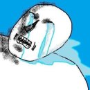 보라피네 네이버블로그
