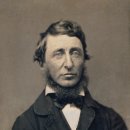 더불어사는 자연 2 이미지