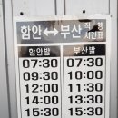 함안 남문외 고분군 이미지