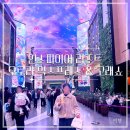 NEW월드게임장 | [여행] 인스파이어 리조트 고래쇼 관람시간 (ft. 오로라 익스프레스)