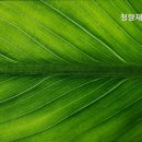 청량재가장기요양복지센터 네이버블로그