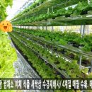 수경목장 이미지