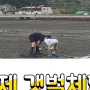 탑포노을빛농촌체험휴양마을 이미지