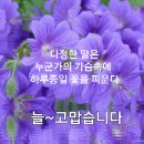 [그것은 희망입니다] 이미지