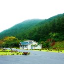 국립희리산해송자연휴양림 이미지