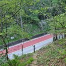 45 | 김천 백마산 후기