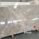 도그인 그레이 이미지