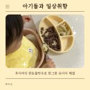 버디키친 | 한그릇 유아식 : 푸디버디한돈물만두로 만든 18개월 아기만두국 후기