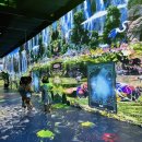 원더파크 이미지