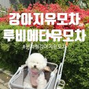 댕댕이 머리하는 날 | 반려견과의 외출 필수템 루비에타 분리형 강아지 유모차 리뷰 feat 퐁이사용후기