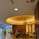 메디칼마운트 | 싱가포르 임신일기(2) 임신 5주 차 초음파 및 병원 변경