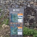 수영4리 이미지