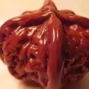 주식회사 백년전설 이미지