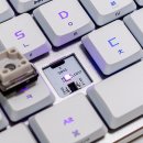 지원옵티컬 이미지