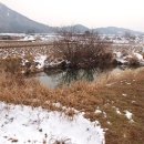 무논(물논)의 둠벙 사진 모음 이미지