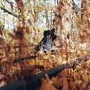 (주)라임코어 이미지