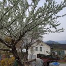 동희농장 이미지