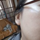 이너 클린 | 콜라겐영양제 추천 이너맥스 비타클린 콜라겐 2주 후기