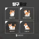 y동물병원 이미지