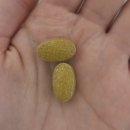 (주)뉴트리바이오 | 지루성두피염 관리 요즘 시작한 나의 두피 비오틴 영양제 메디셜 판토오틴