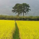 인생낙원 이미지