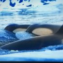 거령(주) 이미지