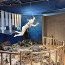 제주사람수다 | <솔째기 제주와수다> 구좌읍 하도리 팸투어 후기