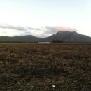 한국돈농장 이미지