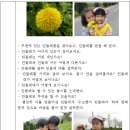20192070 박상미 아동관찰 8,9주차 과제 이미지