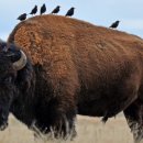 이주환전통한우 이미지