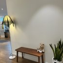 돌마로356번길 | 분당/수내 롱슬로우필라테스 1:1수업 후기