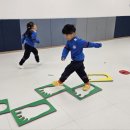 세종체육도장 이미지