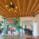 양양하다 이미지