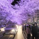 밤장군 이미지