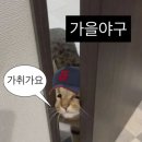 룰루랄라 - 광주시 | 룰루랄라