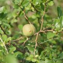 백남준로 이미지