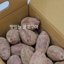 주식회사 한입