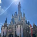 2023-0031 | 일본 디즈니랜드 후기-티켓, DPA, 입장 꿀팁