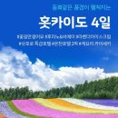신세계라이브쇼핑3