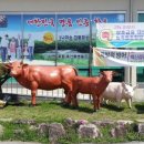 남원중학교 4 이미지