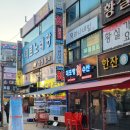 대포항회세꼬시